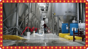 brewery 768x432